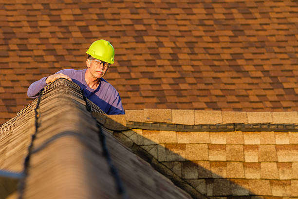 Best Storm Damage Roof Repair  in Bayard, NE